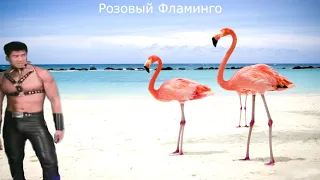 Алёна Свиридова - Розовый фламинго (Right Version♂)