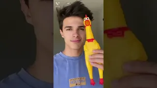 Ampsquad Tiktok Compilation(2)