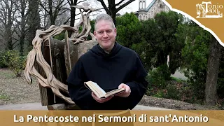 La Pentecoste nei Sermoni di sant'Antonio