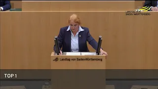 07.11.18 Carola Wolle zur künstlichen Intelligenz (Landtag BW)