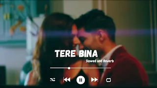 Tere bina | Slowed and reverb | Zaeden | Vibe studio