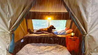 Relaxing Solo Camping in Heavy Rain with my Best Mate