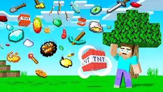 MINECRAFT But It Is RAINING ITEMS! (so lucky)