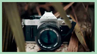 Canon AE-1 - Canon's Greatest SLR (Review)