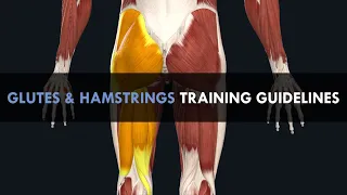 Glutes & Hamstrings Hypertrophy Training Guidelines | How to Train for Maximum Muscle Growth