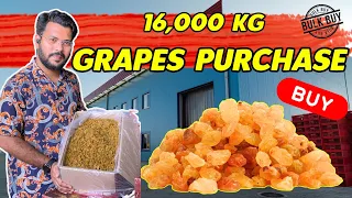 Dry Fruits Purchase | Bulk Purchase | Dry Grapes Factory visit | Fsmart