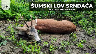 Lov Srndaća: Odstrel škartnog grla Srndaća - Homolje | Epizoda 4 Roe Deer Buck Hunting Serbia