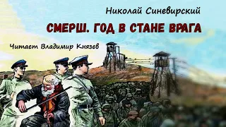 Синевирский Николай (Мондич Михаил) - Смерш. Год в стане врага (читает Владимир Князев)