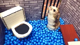 🐹HAMSTER PIXEL ESCAPES THE AWESOME MAZE FOR PETS IN REAL LIFE🐹 in HAMSTER STORIES PART 2