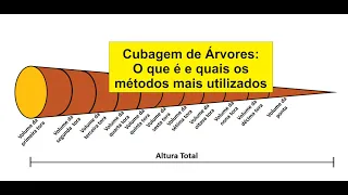 Cubagem de árvores - Princípios e métodos mais utilizados