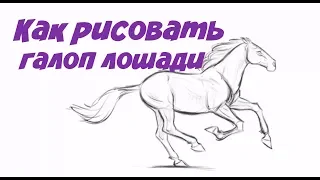 Как рисовать галоп лошади