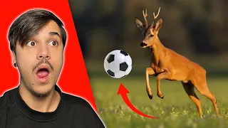 Momentos De Uno En Un Millón En Los Deportes 🤯⚽️