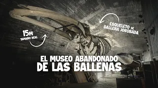 DESCUBRIMOS UN MUSEO ABANDONADO DE BALLENAS|| TACTIC's URBEX