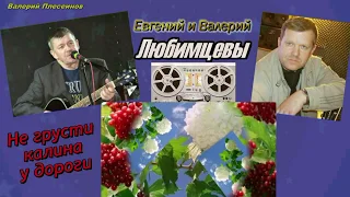 Евгений и Валерий Любимцевы - Не грусти калина у дороги