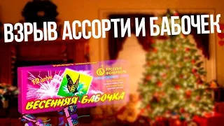 Тест Ассорти И Бабочки