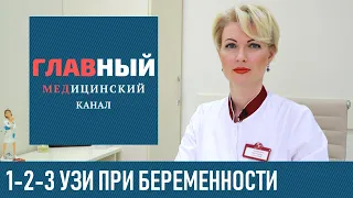 Всё про УЗИ при Беременности на ранних сроках. Доплер УЗИ беременности на 5, 6, 7 и 12 неделе