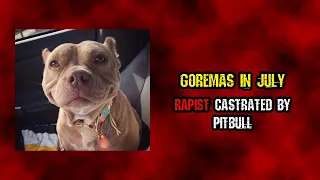 Man Castrated By Pitbull | Goremas In July