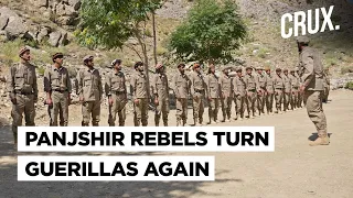 Taliban Executes Afghan Ex-VP Amrullah Saleh's Brother As Panjshir Rebels Mount Guerrilla Attacks