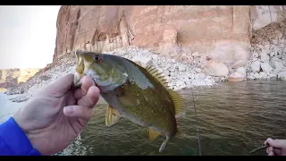 Finally Back on the South End of Lake Powell, Day 1