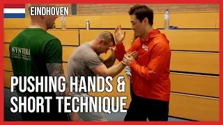 Pushing hands and Short technique - DK Yoo in Eindhoven