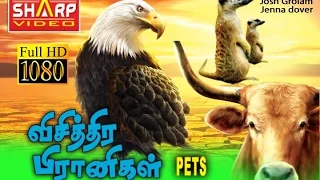 விசித்தர பிராணிகள்/ஹாலிவுட் DUBBED MOVIE / சூப்பர் ஹிட் பில்ம்ஸ் HOLLYWOOD HD MOVIE NEW COLLECTION