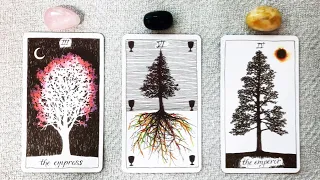 WHAT'S NEXT?! YOUR 3 MONTHS AHEAD PREDICTIONS!🌷🎆🌲 | Pick a Card Tarot Reading