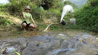 Pump fishing technology - The girl who pumps water outside the natural lake catch a lot of big fish