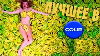 Приколы Август 2016 Подборка приколов Coub Vine #154 Лучшее в Coub Funny Fail Compilation August2016