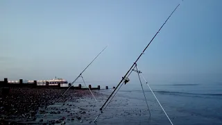 SEA FISHING UK - BEACH FISHING AT EASTBOURNE WISH TOWER - SHORE FISHING AT NIGHT