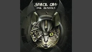 Transformer Space Cat vs. Black & White Remix