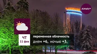 Погода в Алматы с 8 по 14 февраля 2021