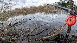 КОГДА СОЛНЦЕ САДИТЬСЯ, поплавок НАЧИНАЕТ УТАСКИВАТЬ. Рыбалка на реке в 2024