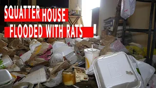 Squatter House Flooded with Rats (and Roaches) | Tampa, FL