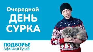 Очередной день сурка | Подворье Афанасий Рублёв