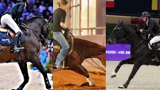 ♥️🐴equestrian tiktok compilation 7 minutes 🐴♥️