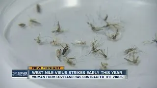 West Nile Virus strikes early this year
