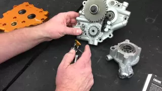 twin cam chain tensioners