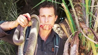 Top 10 Insane Bear Grylls Moments