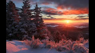 Зимний пейзаж на закате маслом|winter landscape oil art