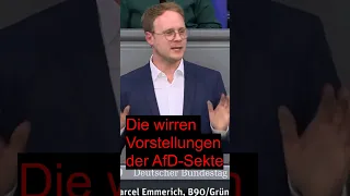 Die Vorstellungen der AfD-Sekte werden immer bizarrer