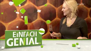 Einfach genial | 25.02.20 | MDR