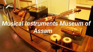 Musical instruments museum kaziranga orchid park Assam🎺🎷🪘🪘❤❤