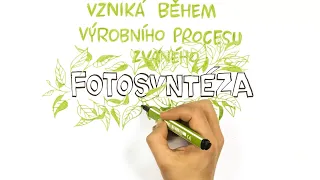 Co je to fotosyntéza? – NEZkreslená věda II