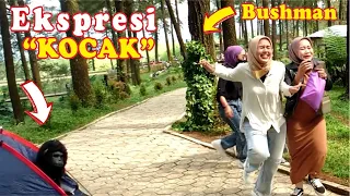 Bushman VS Monkey prank bikin tawa meriah..!! Hilarious prank