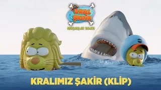 Kral Şakir “Korsanlar Diyarı” - Kralımız Şakir (Klip)