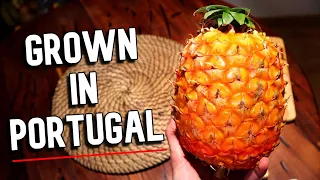 The BEST Pineapple I've Ever Had was Grown in PORTUGAL - Weird Fruit Explorer