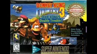 Donkey Kong Country 3 Dixie Kong Double Trouble 105% Completo