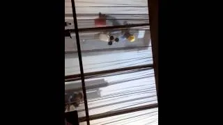 Вот как моют окна в небоскребах