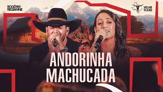 Rogerio e Regianne - Andorinha Machucada - Velho Texas