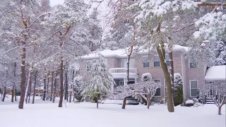 Winter Snowy Streets and Cozy Homes after Snowfall in Toronto GTA suburbs 4K snow video